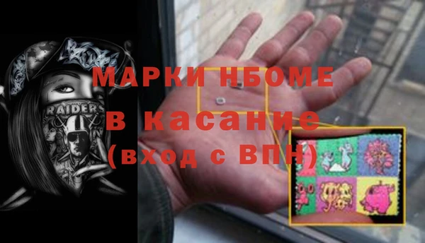 шишки Верея