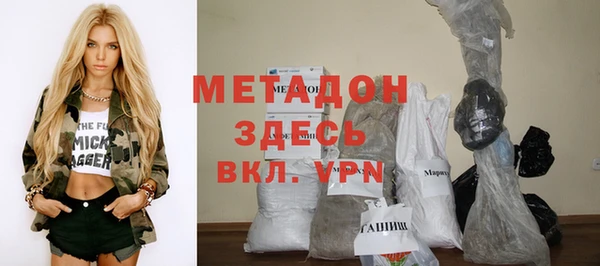 шишки Верея