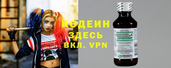 шишки Верея