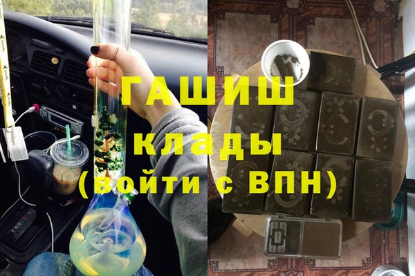 шишки Верея
